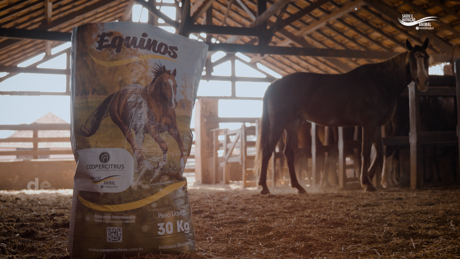Coopercitrus Expo: lançamentos em nutrição animal para equinos ...